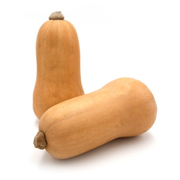 Produktfoto zu Butternut