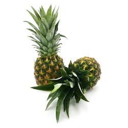 Produktfoto zu Ananas ca. 1 kg