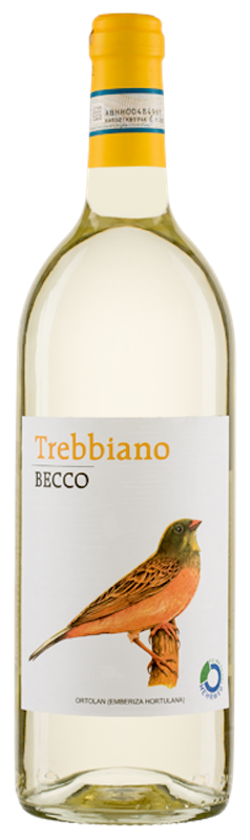 Produktfoto zu BECCO Trebbiano DOC 1l Mehrweg