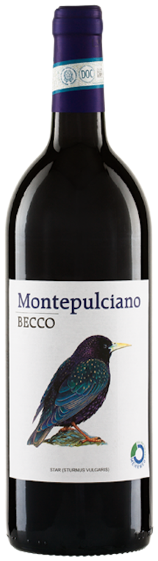 Produktfoto zu BECCO Montepulciano DOC  1l Mehrweg