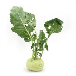 Produktfoto zu Kohlrabi