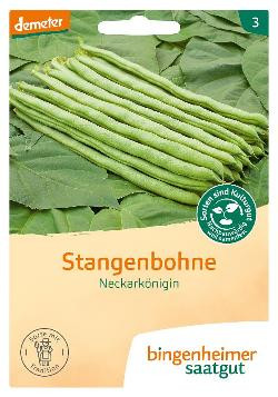 Produktfoto zu Saaatgut Stangenbohnen Neckarkönigin