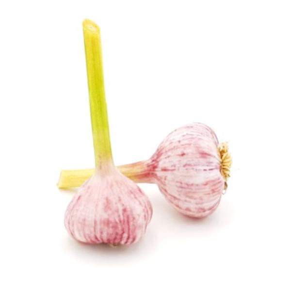 Produktfoto zu frischer Knoblauch