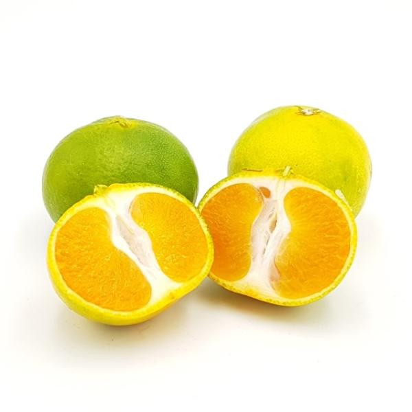 Produktfoto zu grünliche Satsuma