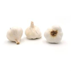 Produktfoto zu Knoblauch