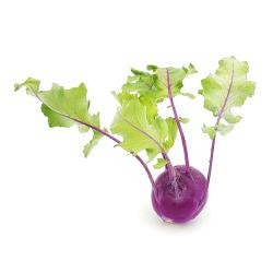 Produktfoto zu blauer Kohlrabi