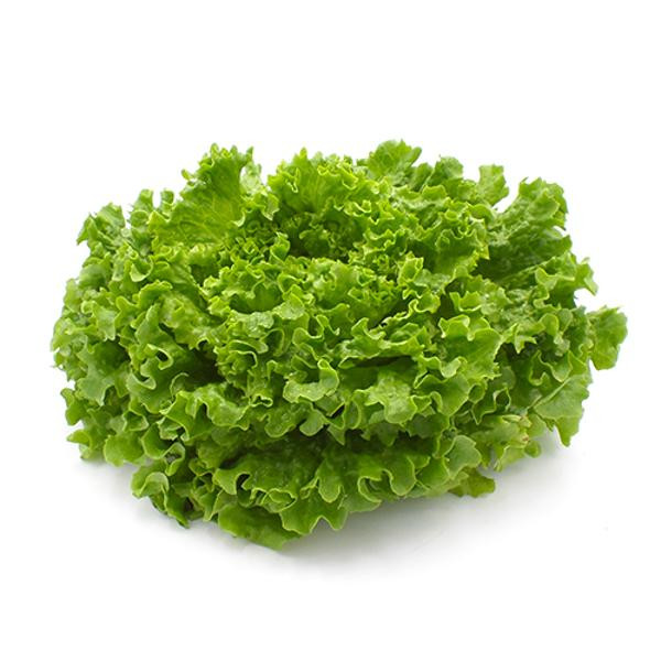 Produktfoto zu Endiviensalat ca. 300g